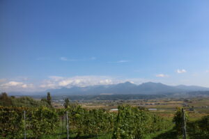 今朝の風景