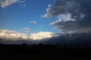 今日の風景