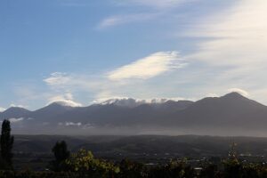 今朝の風景
