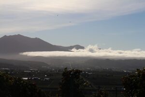 今朝の風景
