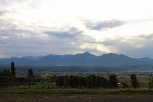 今朝の風景