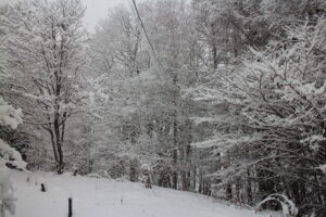我が家からの風景
