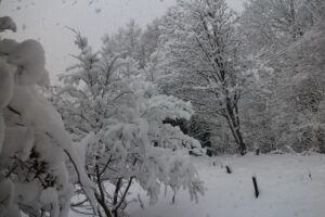 我が家からの風景