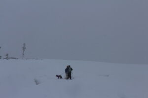 スノーシュー歩き