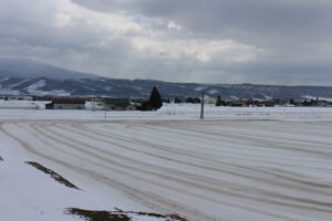 融雪剤を撒いた風景