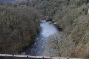 橋から見た風景