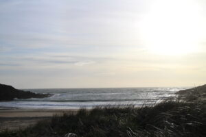 アイリッシュ海