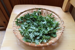 よもぎ