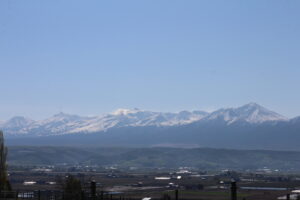 今朝の風景