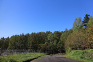 今朝の風景