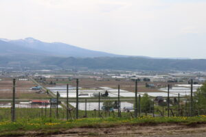 今朝の風景