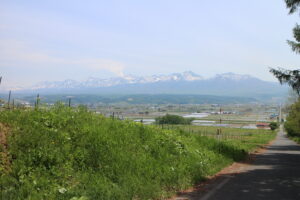 今日の風景