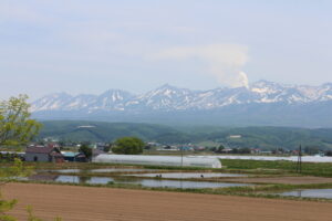 今日の風景