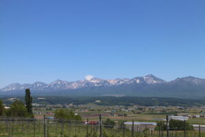 今日の風景