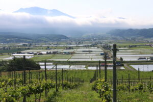 JR富良野線