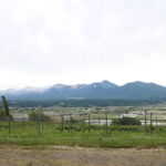 今日の風景