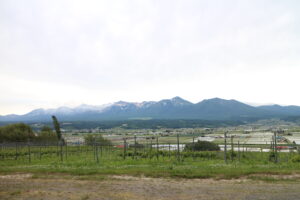 今日の風景