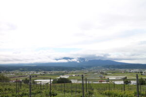 今朝の風景
