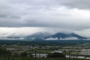 今朝の風景