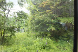 窓の景色
