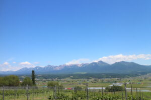 今日の風景
