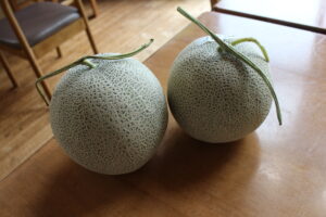メロン