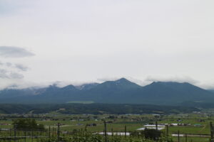 今日の風景