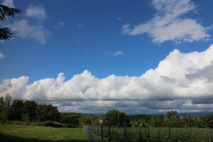今日の空