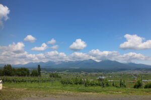 今日の風景
