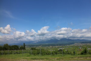 今日の風景
