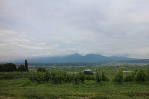 今日の風景