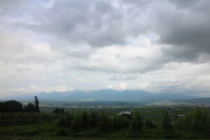 今日の風景