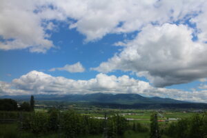 今日の風景