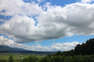 今日の風景