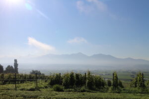 今朝の風景