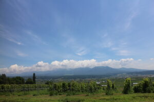 今日の風景