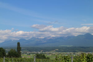 今日の風景