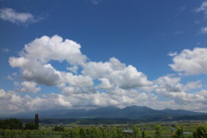 今日の風景