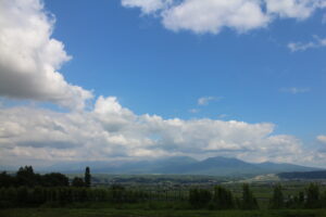今日の風景