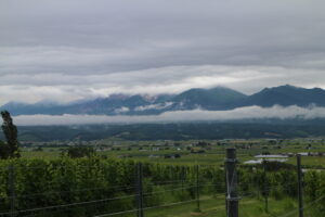 今朝の風景