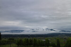 今朝の風景