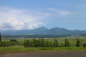 今日の風景