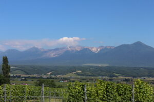 今日の風景