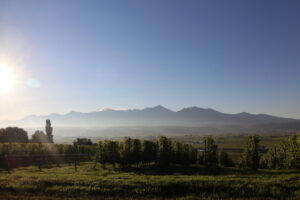 今朝の風景