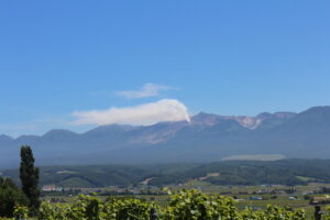 今日の風景