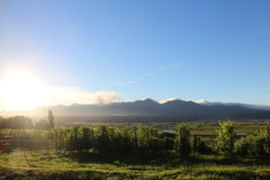 今朝の風景