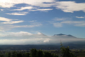 今朝の風景