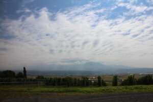 今朝の風景