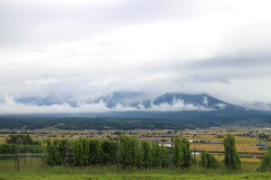 今日の風景