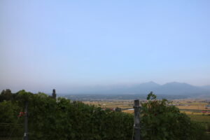 今日の風景